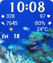 Aquarium