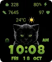 Halloween Black Cat