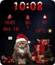 Santa Cat