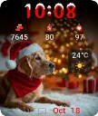 Santa Dog
