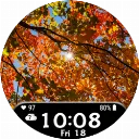 Autumn14