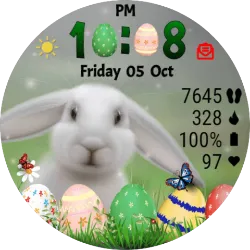 Easter Bunny