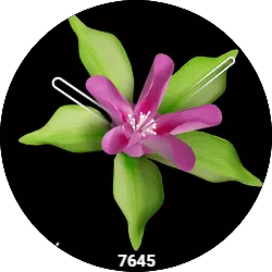 FlowerBloomW3
