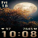 MoonB