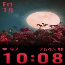 NightB