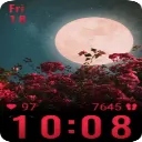 NightF