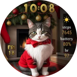 Santa Cat