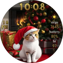 Santa Cat GT1