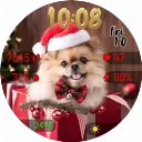 Lady Christmas