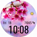 Spring Free