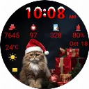 Santa Cat