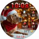 Santa Dog
