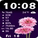 SWFspring02F