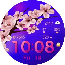 SWFspring04