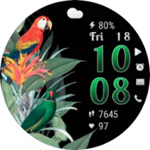 TropicalBirds