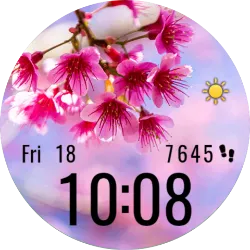 Spring Free