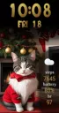 Santa Cat