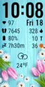 SWFspring04