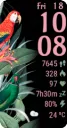 TropicalBirds