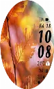 Autumn11