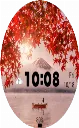 Autumn12