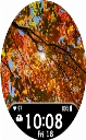 Autumn14