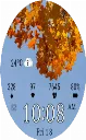 Autumn18