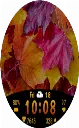 Golden Leafs