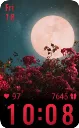 NightF
