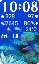 Aquarium