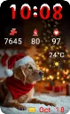 Santa Dog