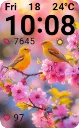 Spring 72