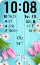 SWFspring04