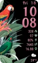 TropicalBirds