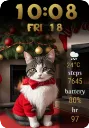 Santa Cat