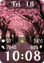 Spring Season