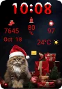 Santa Cat
