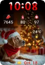 Santa Dog