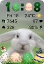 Easter Bunny SWF