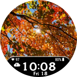 Autumn14