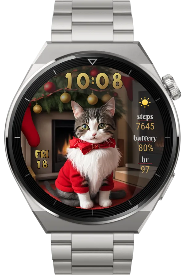 Santa Cat