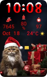 Santa Cat