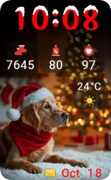 Santa Dog